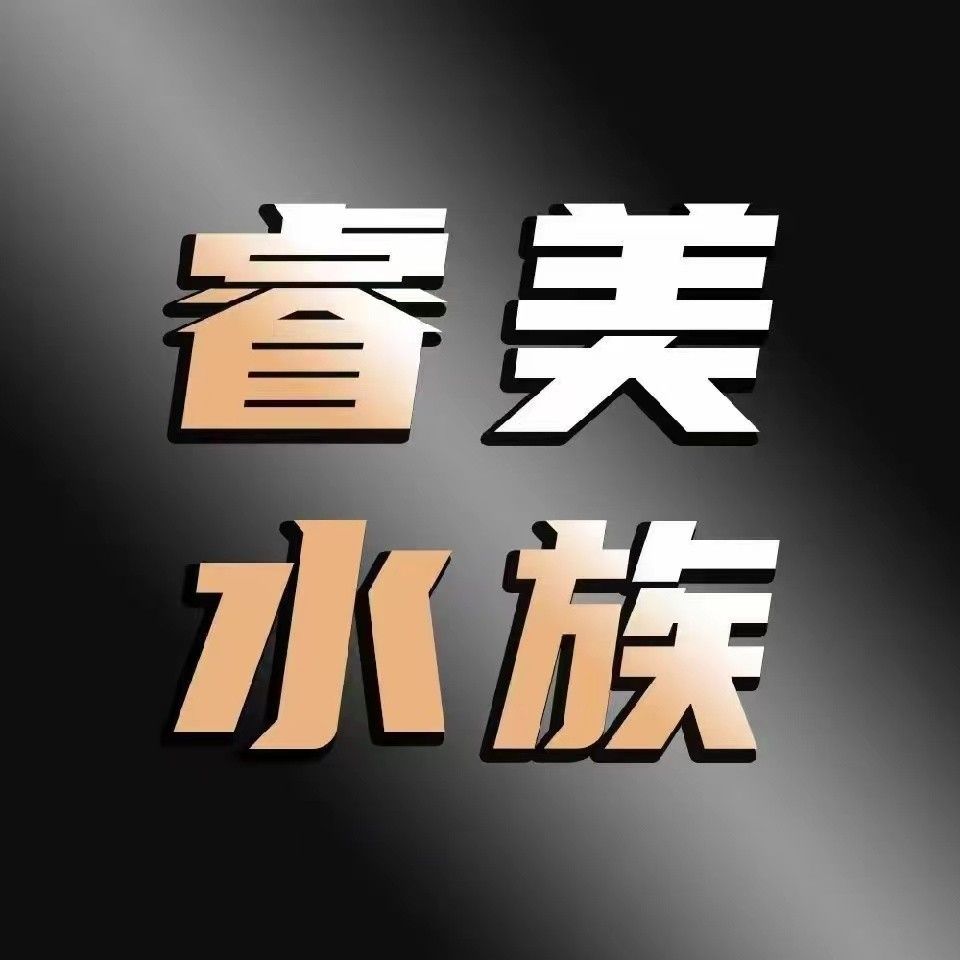 葫蘆群島龍魚市場在哪里？（葫蘆島市龍港區(qū)與龍魚相關(guān)的市場主要有兩個(gè)：若需更專業(yè)）