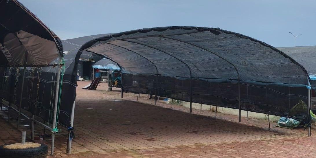 葫蘆群島龍魚市場在哪里？（葫蘆島市龍港區(qū)與龍魚相關(guān)的市場主要有兩個(gè)：若需更專業(yè)）