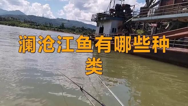 瀾滄江龍魚有哪些品種（瀾滄江龍魚品種詳解：瀾滄江龍魚的品種繁多） 瀾滄江龍魚有哪些品種（瀾滄江龍魚品種詳解：瀾滄江龍魚的品種繁多） 龍魚百科 第1張