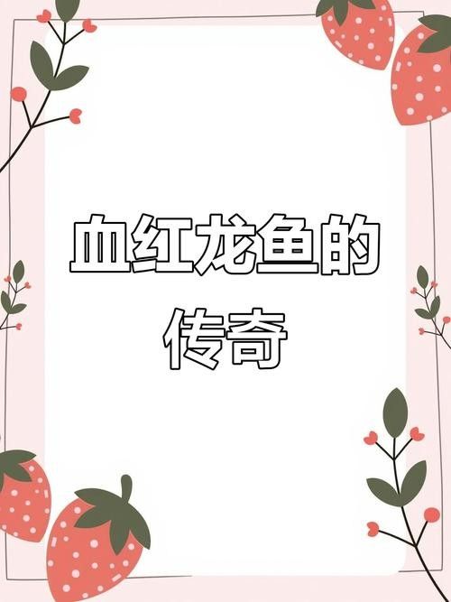 哪里可以找到高清的野生赤血紅龍魚圖片（尋找高清野生赤血紅龍魚）
