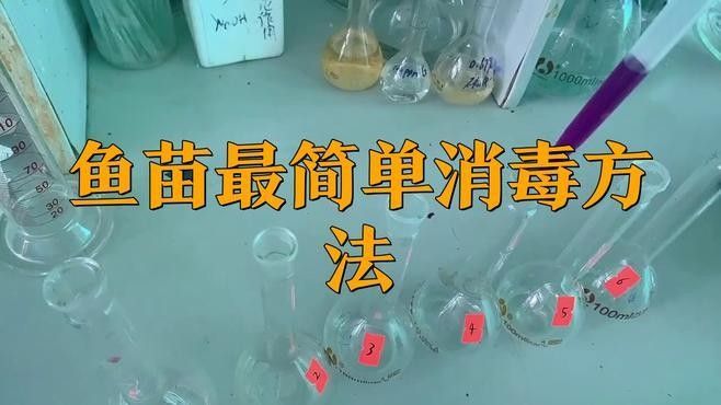 如何給火背雷龍魚苗消毒？（背雷龍的消毒方法） 如何給火背雷龍魚苗消毒？（背雷龍的消毒方法） 龍魚百科 第1張