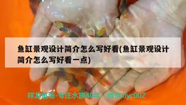 魚缸景觀設計簡介怎么寫好看(魚缸景觀設計簡介怎么寫好看一點)（魚缸景觀設計的簡介）