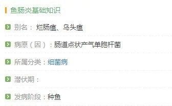 如何判斷龍魚是否細菌感染？
