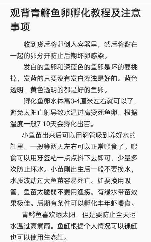 給我一些麗江龍魚卵的圖片（麗江龍魚卵）