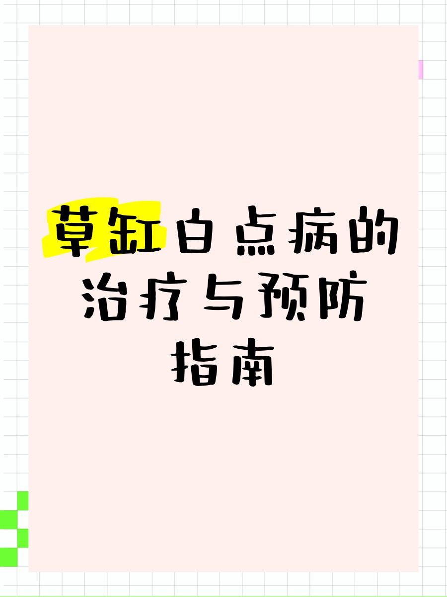 龍魚眼白點如何預防？（觀賞魚蒙眼怎么辦白點病的治療與預防指南）