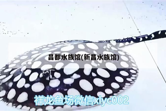 昌都水族館(新昌水族館) 昌都水族館(新昌水族館) 觀(guān)賞魚(yú)百科