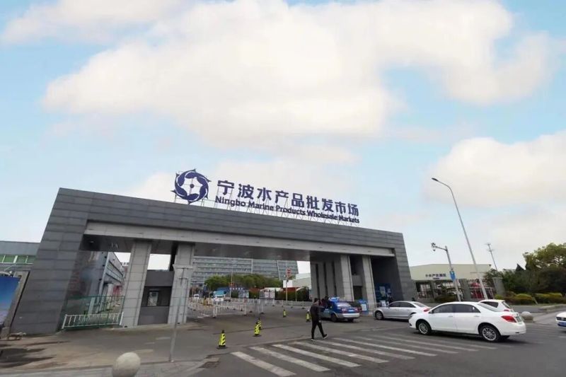 給我推薦幾家寧波的龍魚市場（寧波中國水產城具體位置在哪里寧波市區有哪些水族市場）