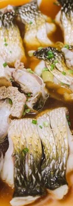 給我推薦幾家寧波的龍魚市場（寧波中國水產城具體位置在哪里寧波市區有哪些水族市場）