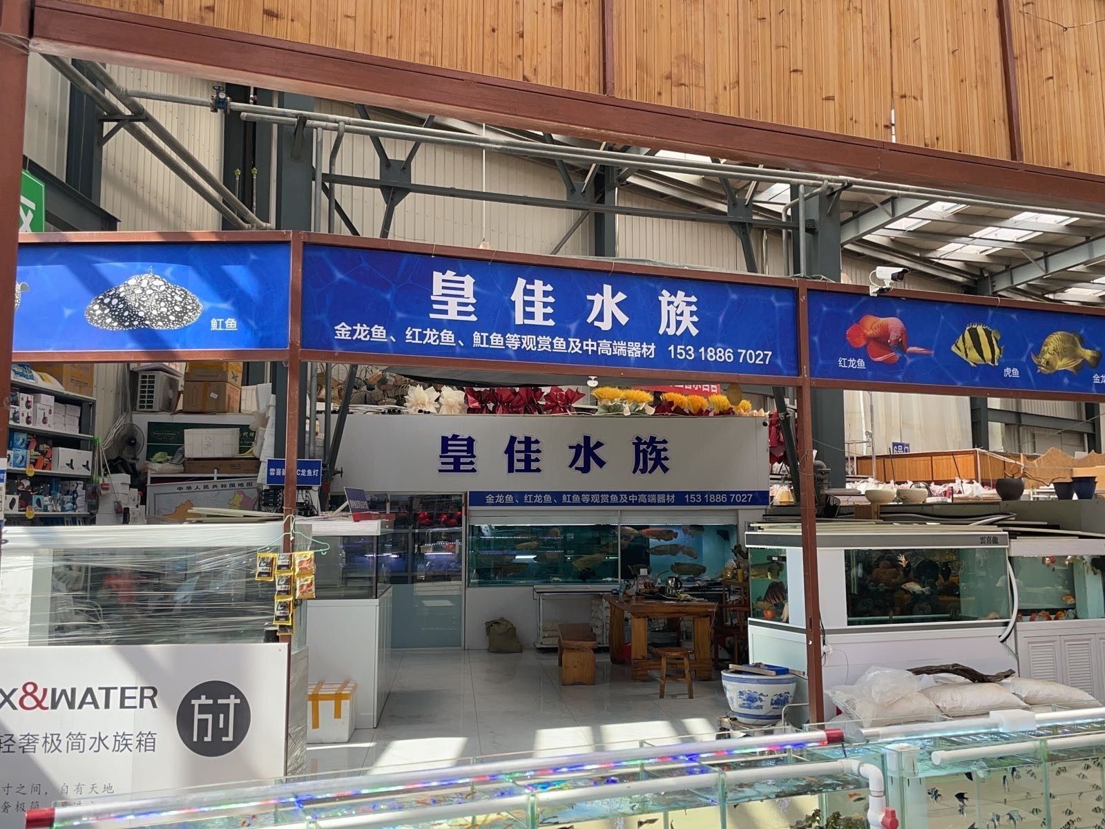 貴港龍魚交易市場在哪里（廣西貴港龍魚交易市場）