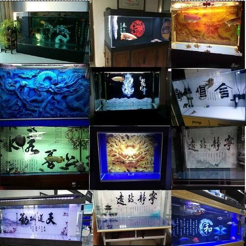 龍魚缸背景圖有哪些材質？（魚缸背景圖的材質多樣）