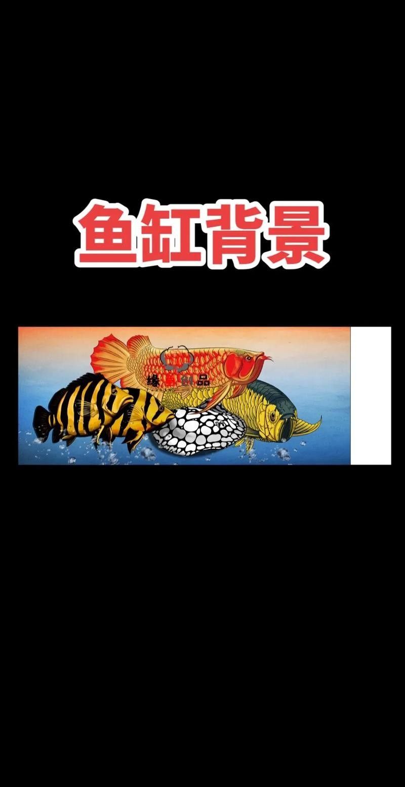 龍魚缸背景圖有哪些材質？（魚缸背景圖的材質多樣）