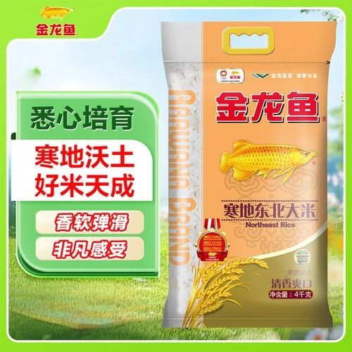 銀龍魚常見疾病（銀龍魚為什么會患上白點病，如何識別銀龍魚是否感染了細菌性疾病）