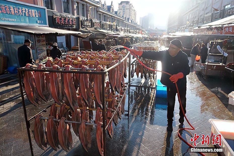 中國(guó)魚(yú)苗批發(fā)最大市場(chǎng)（中國(guó)最大的魚(yú)苗批發(fā)市場(chǎng)）