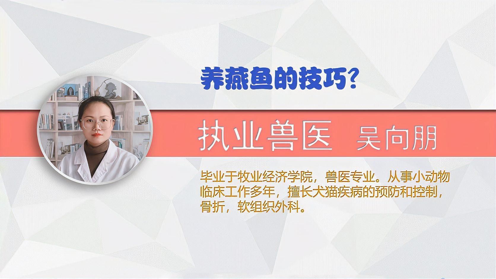 1.2米魚(yú)缸能養(yǎng)幾條燕魚(yú)？（1.2米的魚(yú)缸能養(yǎng)幾條燕魚(yú)）