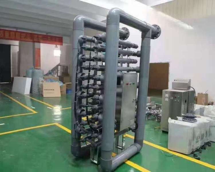 隆德金龍魚（隆德金龍魚正確飼養方法拾貳曉記481-2厘米金龍魚）