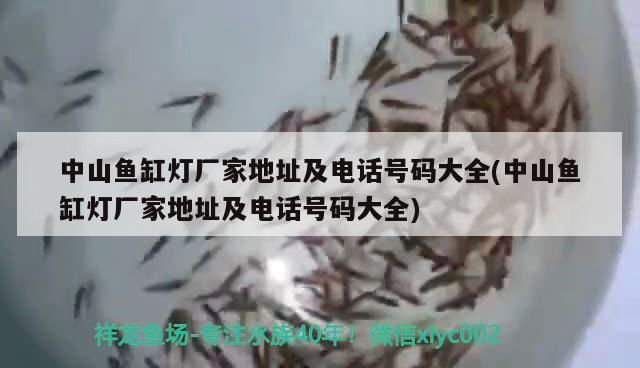 中山魚缸燈廠家地址及電話號(hào)碼大全(中山魚缸燈廠家地址及電話號(hào)碼大全)（中山市魚缸燈廠家地址及電話號(hào)碼大全） 中山魚缸燈廠家地址及電話號(hào)碼大全(中山魚缸燈廠家地址及電話號(hào)碼大全)（中山市魚缸燈廠家地址及電話號(hào)碼大全） 觀賞魚百科