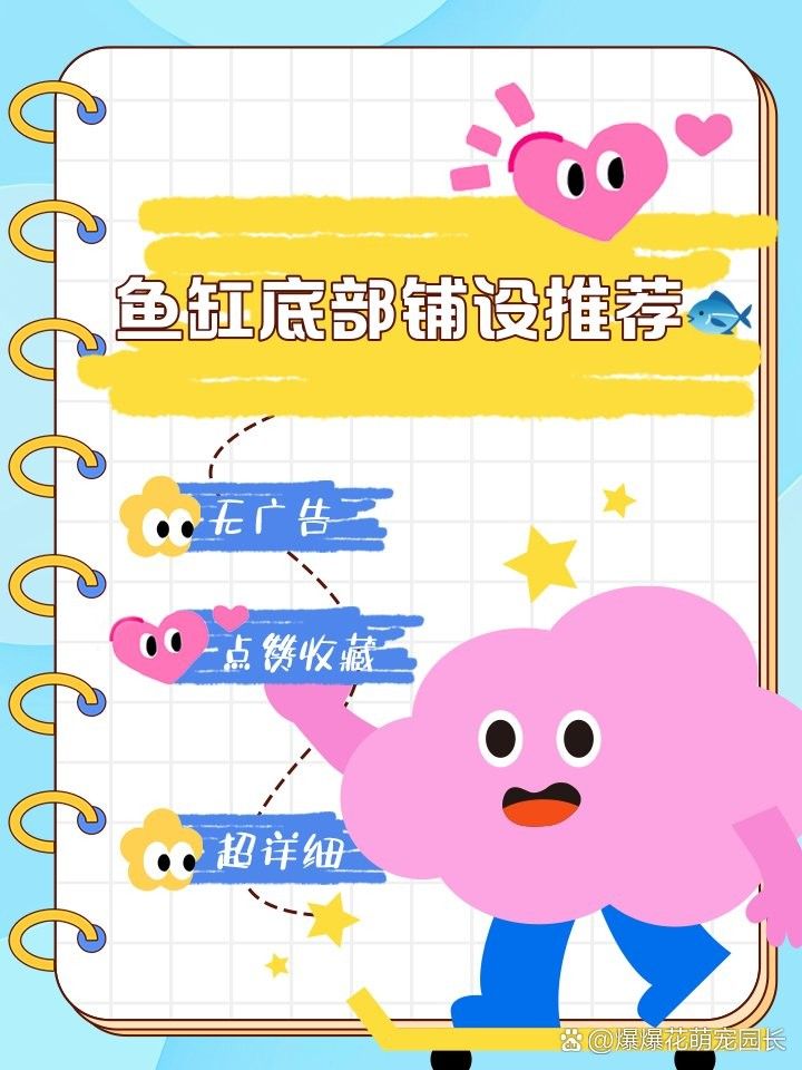 黑色背景搭配什么底砂最好（底砂顏色和材質對于創造一個和諧且吸引人的背景至關重要）