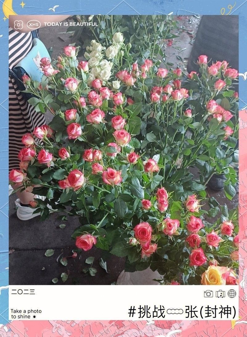 荔灣和番禺哪個市場更好？（廣州荔灣區(qū)和番禺區(qū)的區(qū)別在哪里？）