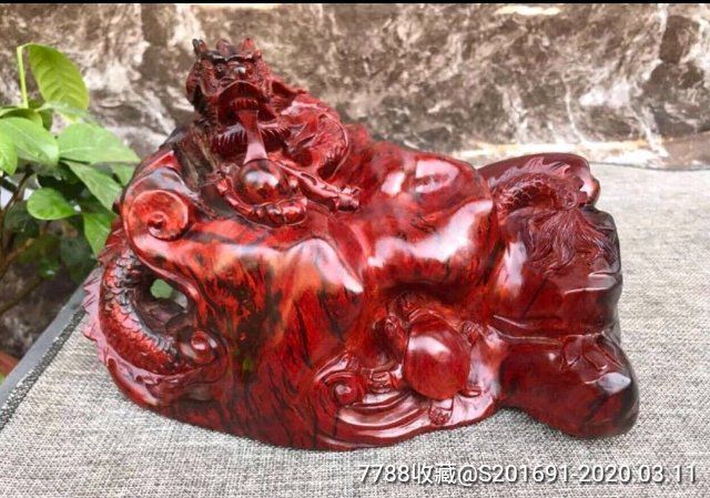 龍龜的價格范圍是多少？（夢幻西游:以前30w沒人要，現在開價1200w收） 龍龜的價格范圍是多少？（夢幻西游:以前30w沒人要，現在開價1200w收） 觀賞魚百科 第4張