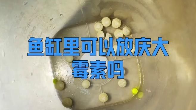 慶大霉素對哪些魚種有毒？（慶大霉素對魚有什么副作用與功效與副作用一起用嗎）