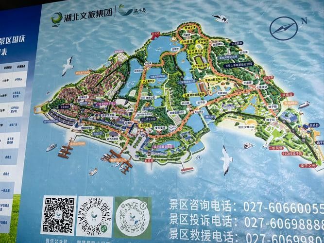 祥龍魚場各個區分布圖（祥龍魚場各區分布圖） 祥龍魚場各個區分布圖（祥龍魚場各區分布圖） 觀賞魚百科 第7張