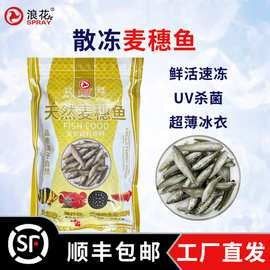 哪里可以自制龍魚凍食