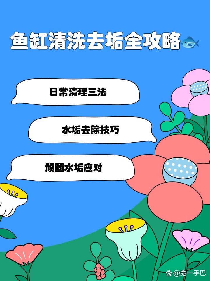 金龍魚黑缸多久會反垢？（關于金龍魚黑缸多久會反垢的問題金龍魚黑缸多久會反垢） 金龍魚黑缸多久會反垢？（關于金龍魚黑缸多久會反垢的問題金龍魚黑缸多久會反垢） 龍魚百科 第4張