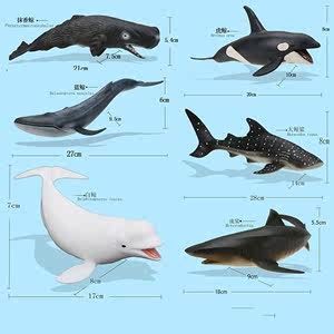 白銀水族館龍魚充血身體充血魚鱗變淡(白銀水族館龍魚充血身體充血) 觀賞魚百科 第1張 白銀水族館龍魚充血身體充血魚鱗變淡(白銀水族館龍魚充血身體充血) 白銀水族館龍魚充血身體充血魚鱗變淡(白銀水族館龍魚充血身體充血) 觀賞魚百科 第1張
