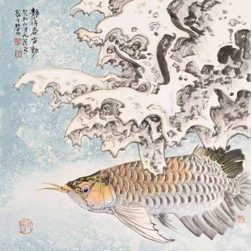 工筆金龍魚作品欣賞（筆墨禪心盛世鱗光—工筆金龍魚作品欣賞）