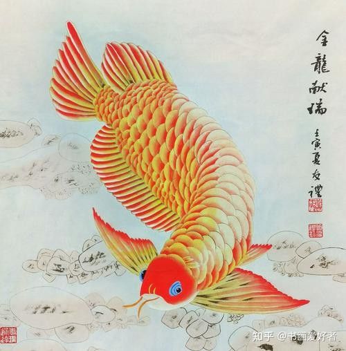 工筆金龍魚作品欣賞（筆墨禪心盛世鱗光—工筆金龍魚作品欣賞）