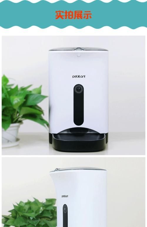 哪款自動投喂器評價最好？（十款寵物自動投喂器推薦及分析寵物智能喂食器怎么選） 哪款自動投喂器評價最好？（十款寵物自動投喂器推薦及分析寵物智能喂食器怎么選） 龍魚百科 第4張
