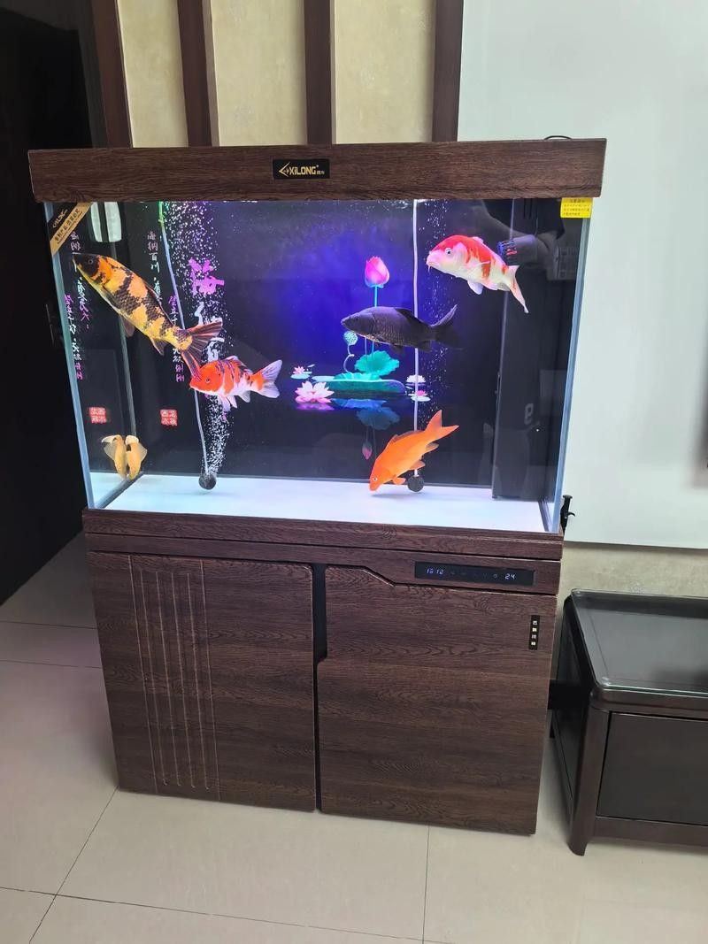 西龍魚缸(2025年金魚缸十大品牌排行榜西龍魚缸十大品牌排名) 觀賞魚百科 第4張 西龍魚缸(2025年金魚缸十大品牌排行榜西龍魚缸十大品牌排名) 西龍魚缸(2025年金魚缸十大品牌排行榜西龍魚缸十大品牌排名) 觀賞魚百科 第4張