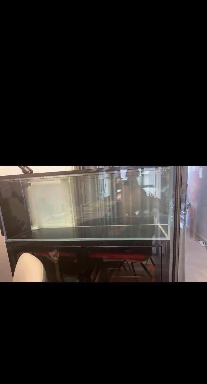 西龍魚缸(2025年金魚缸十大品牌排行榜西龍魚缸十大品牌排名) 觀賞魚百科 第3張 西龍魚缸(2025年金魚缸十大品牌排行榜西龍魚缸十大品牌排名) 西龍魚缸(2025年金魚缸十大品牌排行榜西龍魚缸十大品牌排名) 觀賞魚百科 第3張