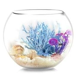 西龍魚缸（2025年金魚缸十大品牌排行榜西龍魚缸十大品牌排名） 西龍魚缸（2025年金魚缸十大品牌排行榜西龍魚缸十大品牌排名） 觀賞魚百科 第7張