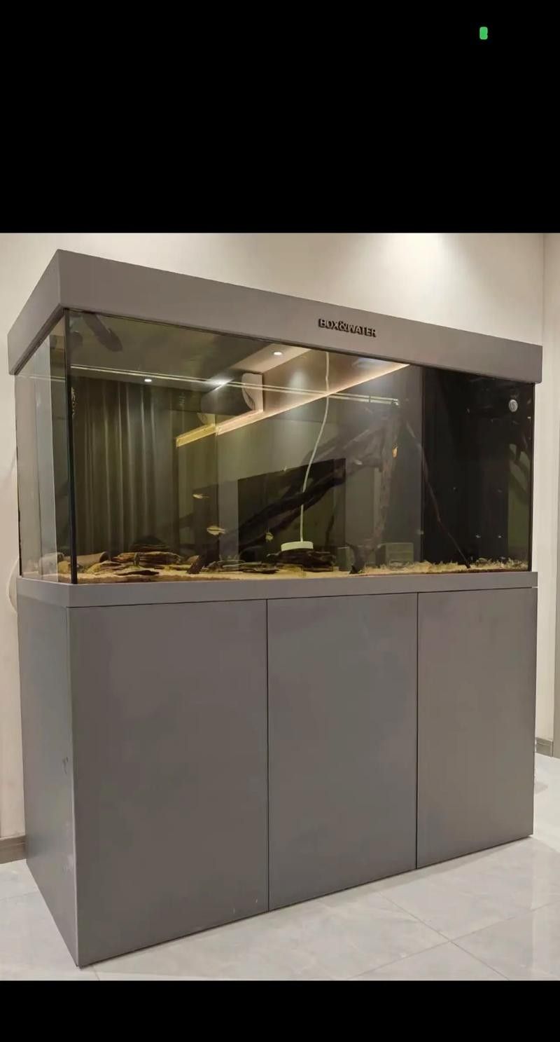 博士龍魚(yú)缸有哪些型號(hào)（博士龍魚(yú)缸主要型號(hào)介紹）