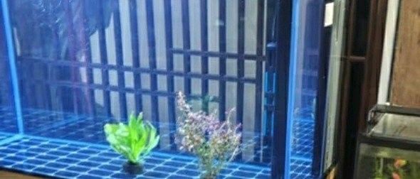 博士龍魚(yú)缸有哪些型號(hào)（博士龍魚(yú)缸主要型號(hào)介紹）
