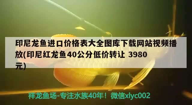 魚缸過濾器不抽水怎么解決視頻講解（馬桶有水聲不上水怎么回事）（如何解決魚缸過濾器不抽水的問題）
