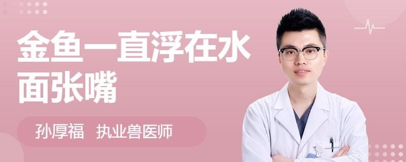金龍魚張嘴呼吸如何治療（治療金龍魚張嘴呼吸的6大原因及解決方法及解決方法）
