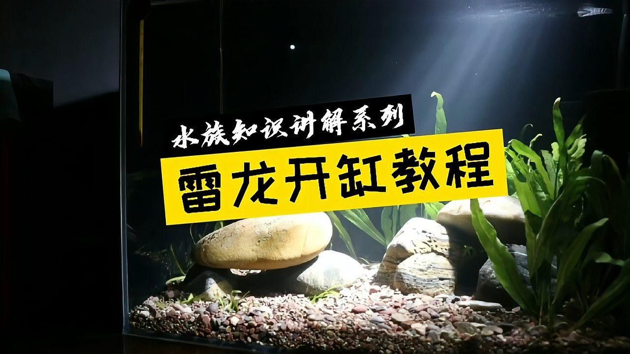 雷龍魚缸水草造景步驟（雷龍缸水草造景步驟）