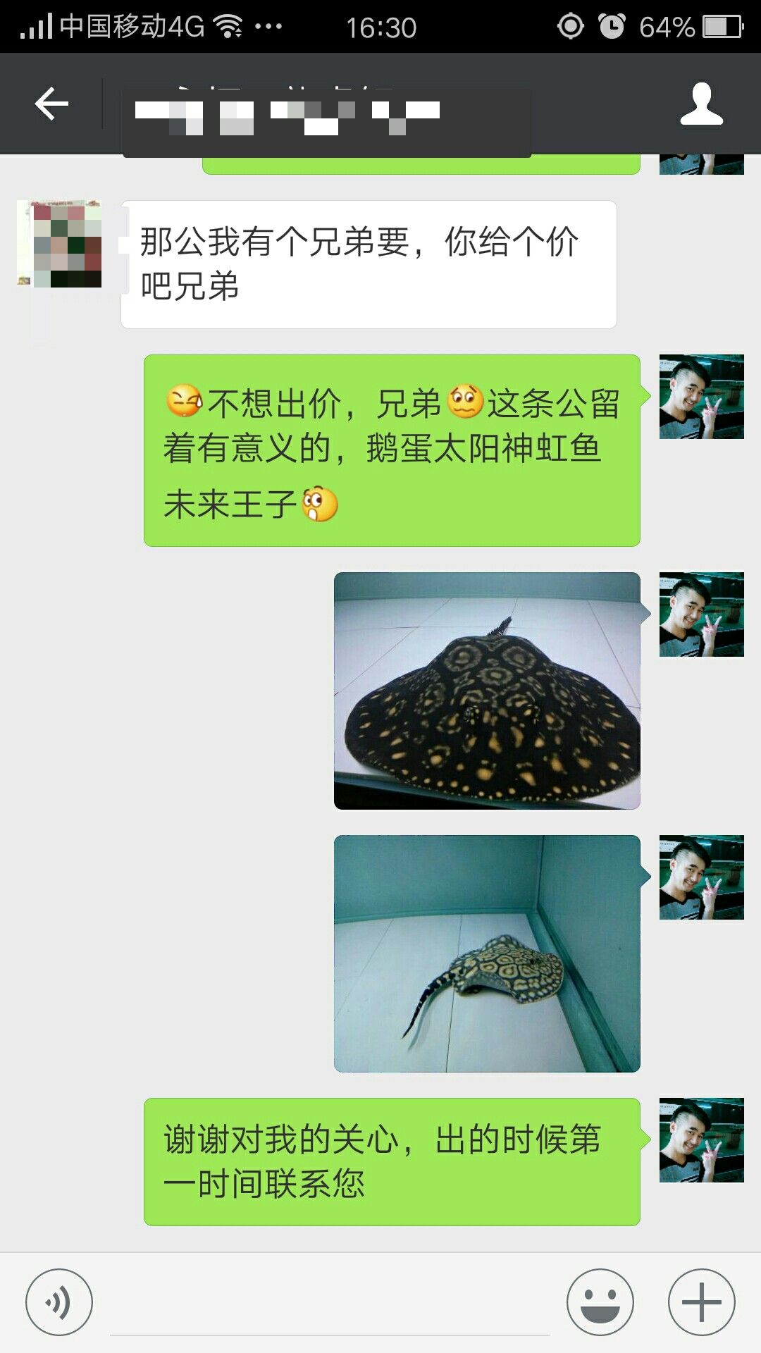 讓我怎么回真是自己心愛的魚不出的 讓我怎么回真是自己心愛的魚不出的 觀賞魚百科 第2張
