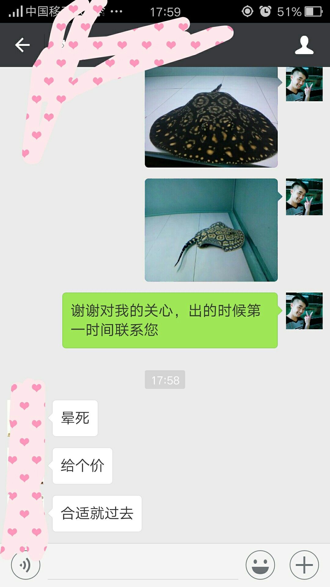讓我怎么回真是自己心愛的魚不出的 讓我怎么回真是自己心愛的魚不出的 觀賞魚百科 第3張