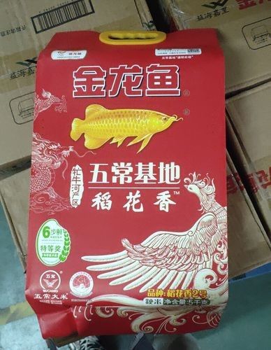 金龍魚生態香稻粳米的價格是多少（金龍魚生態香稻粳米價格每斤20元至30元人民幣） 金龍魚生態香稻粳米的價格是多少（金龍魚生態香稻粳米價格每斤20元至30元人民幣） 龍魚百科 第4張