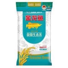 金龍魚生態香稻粳米的價格是多少（金龍魚生態香稻粳米價格每斤20元至30元人民幣） 金龍魚生態香稻粳米的價格是多少（金龍魚生態香稻粳米價格每斤20元至30元人民幣） 龍魚百科 第18張