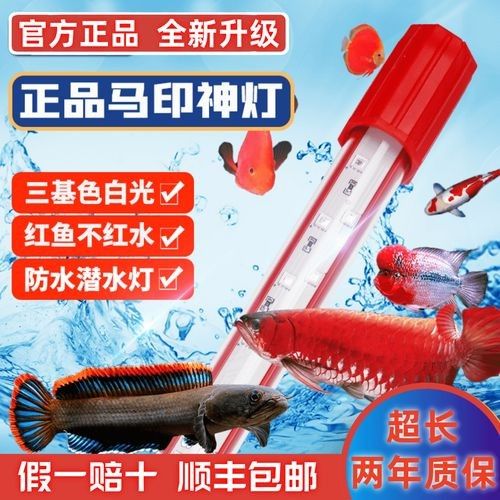 龍魚專用燈的功率一般是多大