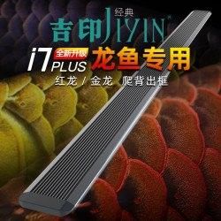 龍魚專用燈的功率一般是多大