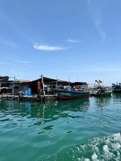 洪龍漁村適合家庭游嗎?(洪龍漁村家庭游攻略) 龍魚百科 第3張 洪龍漁村適合家庭游嗎?(洪龍漁村家庭游攻略) 洪龍漁村適合家庭游嗎?(洪龍漁村家庭游攻略) 龍魚百科 第3張