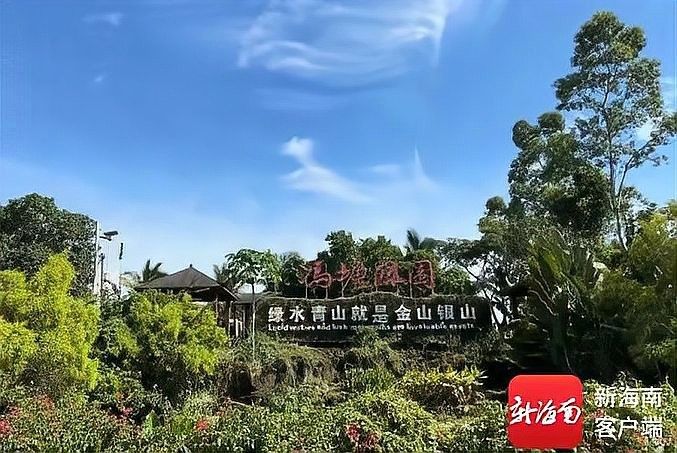 洪龍漁村適合家庭游嗎？（洪龍漁村家庭游攻略） 洪龍漁村適合家庭游嗎？（洪龍漁村家庭游攻略） 龍魚百科 第9張