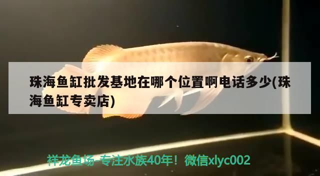 珠海魚缸批發(fā)基地在哪個(gè)位置啊電話多少(珠海魚缸專賣店)（珠海魚缸批發(fā)基地在哪個(gè)位置啊電話多少） 珠海魚缸批發(fā)基地在哪個(gè)位置啊電話多少(珠海魚缸專賣店)（珠海魚缸批發(fā)基地在哪個(gè)位置啊電話多少） 觀賞魚百科
