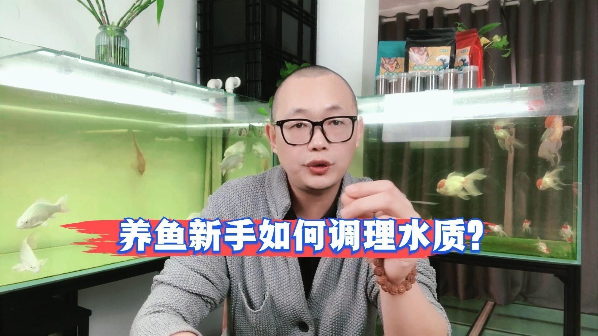 如何加強60厘米魚缸的水質管理（60厘米魚缸的水質管理） 如何加強60厘米魚缸的水質管理（60厘米魚缸的水質管理） 龍魚百科 第4張