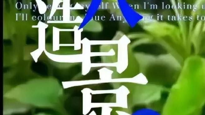 如何用相機拍攝雷龍魚？（拍攝雷龍魚時，有幾個關鍵要點需要注意，捕捉到它們最自然、生動的瞬間） 如何用相機拍攝雷龍魚？（拍攝雷龍魚時，有幾個關鍵要點需要注意，捕捉到它們最自然、生動的瞬間） 龍魚百科 第4張